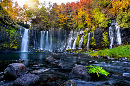水阳光白色的日本秋天白井瀑图片