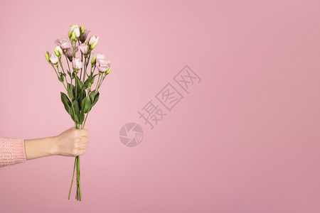 新鲜的绽放在情人节国际妇女或母亲日用粉红色背景Trindy横幅展示情人节国际妇女或母亲时用粉色Eustoma的美花束在粉红色背景图片