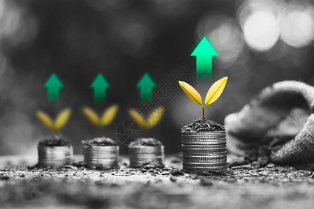 货币农业硬堆叠在顶端的绿色技术图标金融增长概念中现金图片