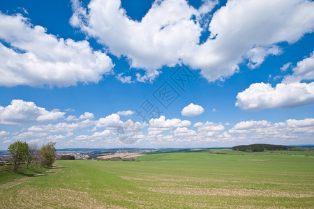 风景优美蓝色的丽春天农田景观图片