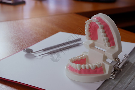 办公室上的假牙模型图片