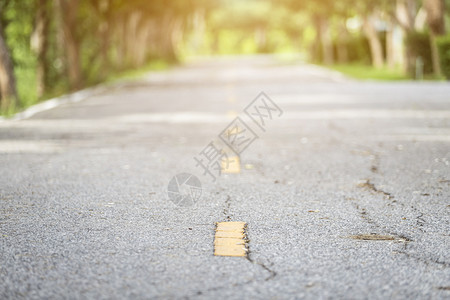 乡村的小路太阳关闭农村道路与绿色自然林晚夕日落背景的灰色森林相邻图片