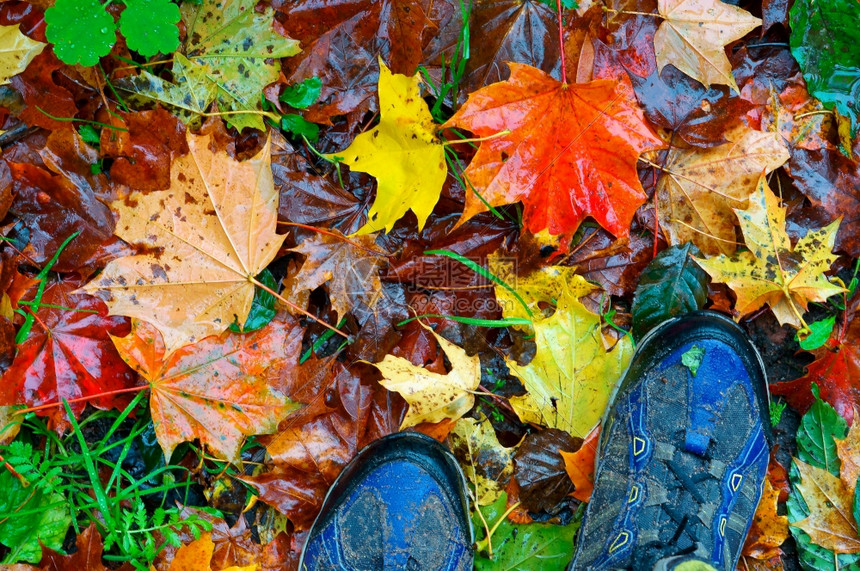 穿过落叶的红黄走在秋天的公园里走在秋天的公园里穿过落下的红叶和黄爱堕落时尚图片