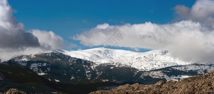 下雪的瓜达拉马松树西班牙德里纳瓦塞拉达山脉冬季场景全图片