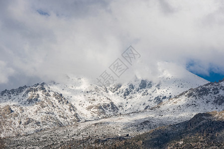 雪森林公园纳瓦切拉达山脉冬季现场西班牙马德里图片