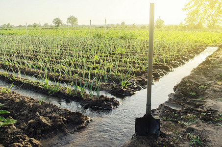 铲种植田用水灌溉运河种植田地用水供系统干旱地区的耕作农艺村欧洲场耕植物养殖业作饲养综合企工的图片