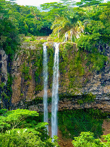 景观目的地从布莱克河公园到Chamarel瀑布毛里求斯岛Chamarel的视点落下图片