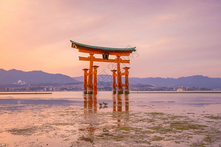 广岛天际线宫日本著名的漂浮托里城门日落图片