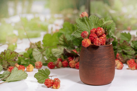 森林粘土锅中的云莓白色表面有绿叶子粘土锅中的云莓白色绿叶子勺自然图片