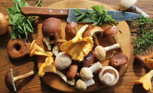 秋天吃剪切板上的森林蘑菇混在一起旧木制板上的剪切混合森林蘑菇在一起素食主义者图片