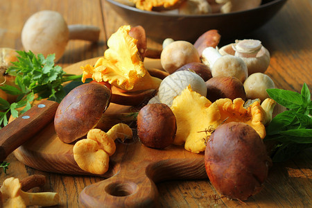 新鲜的各式菌菇图片