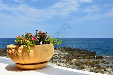 锅有海和美丽的开花盆夏天旅行和假期的背景结石花瓶图片
