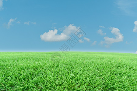 生长地球绿草和蓝天空背景地貌观美丽图片