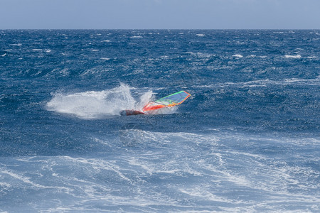 活动凉爽的帆板在蔚蓝大海上竞赛图片
