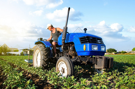 培育土豆绿色农产工业和综合企场机械水土质量改善工作耕地种和松开土田间耕作牧场种植和农田改良工程土壤质量提高图片