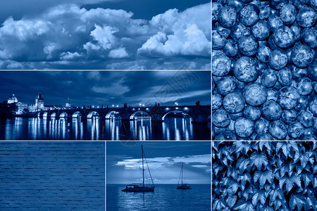时尚拼贴横幅采用经典蓝色调20年现代拼贴浆果树叶游艇大海和天空色调为蓝年度自然路有创造力的图片