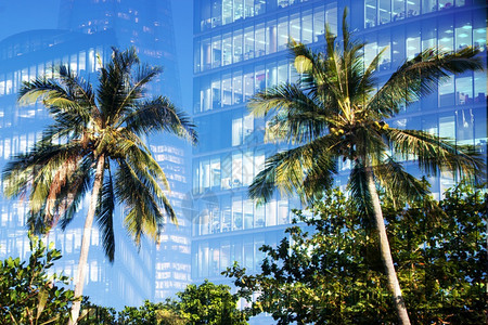 双倍的环境绿色城市红绿森林和现代摩天大楼窗户的双重塔图片
