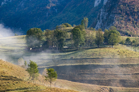 乡村的旅行户外美丽初秋自然的山上本底雾林图片