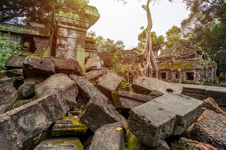 柬埔寨西姆庄园的PrasatTaprohm古老寺庙遗产亚洲人普拉萨特图片