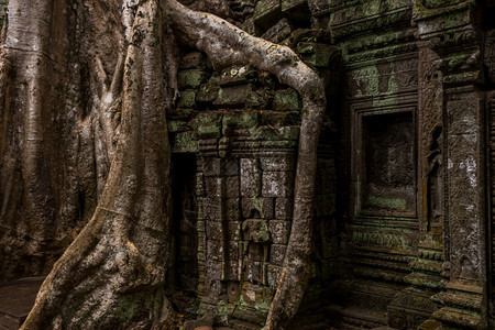 文化遗产地标柬埔寨西姆庄园的PrasatTaprohm古老寺庙图片