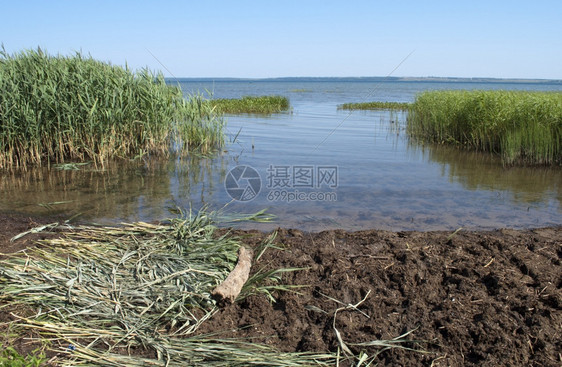 俄罗斯佩莱拉夫扎列基附近普谢耶沃湖岸边的猫头鹰厚岩涟漪风自然图片