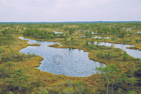 云拉脱维亚沼泽公园2015年凯梅里荒野普维斯图片