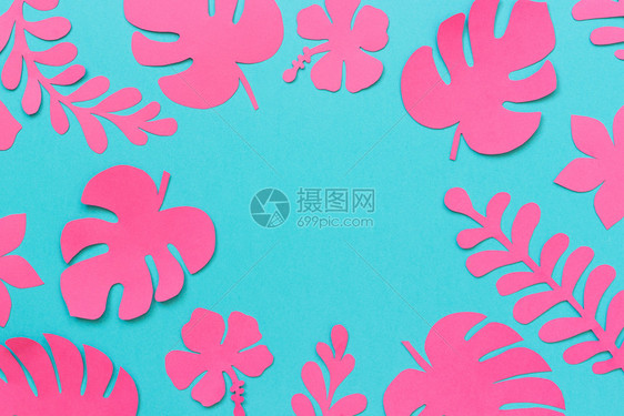 时尚细丝粉红色热带树叶具有纸张复制空间供您在蓝色背景上设计或用字母文书写平板自上而下成分创意纸艺术有造力的为了图片