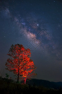 星系银河和宇宙中的太空灰尘在红树上长速自然蓝色的天文学图片