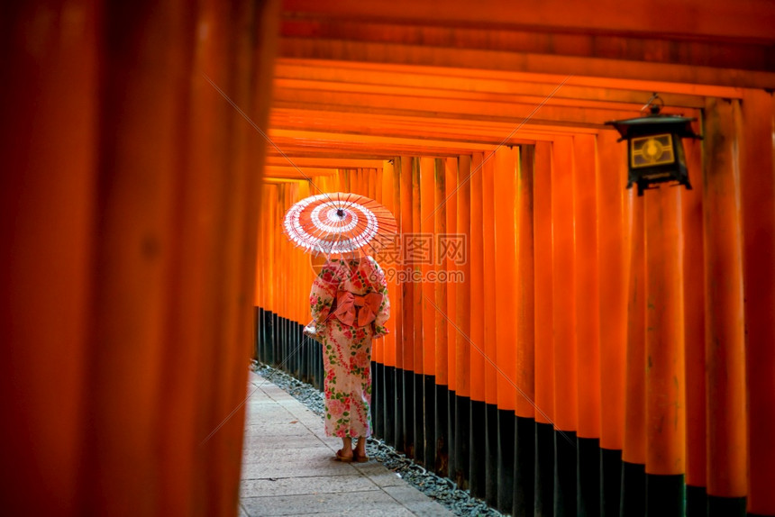 美丽的寺庙门在日本京都FushimiInari神社带红色伞在Yukata的日本女孩图片