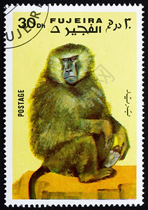 FUJEIRACIRCA1972年在Fujeira上印有的章集邮穿孔纪念图片