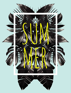 白色的阿罗哈插文口号夏天在方形白边框潮流热带风格艺术矢量黑镜棕榈叶印刷时装背景夏威夷图片
