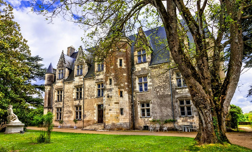 哈尔的移动城堡堡垒花朵法国旅游和行卢瓦尔山谷美丽的城堡卢瓦谷隆利法国蒙特雷索的地标和历史遗迹再生背景