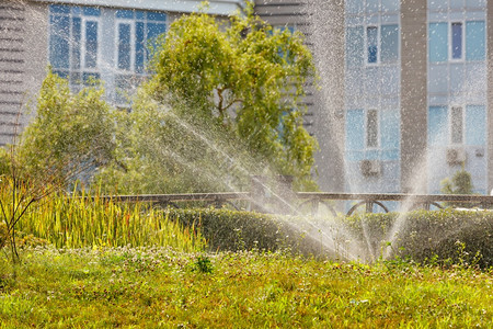 夏日炎热时花园灌溉洒水器在城市草坪上灌溉地而住宅楼的背景模糊场地冲洗户外图片