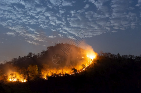 荒野森林火灾夜间在泰国北部山上的森林中以红色和橙的焚烧野火树Soft焦点森林火灾野城市紧急情况图片