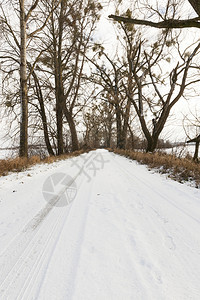 明亮的那里温度在路边树上有车轮痕迹的雪覆盖了农村道路上面有积雪在冬季公路上也有汽车轮的痕迹图片