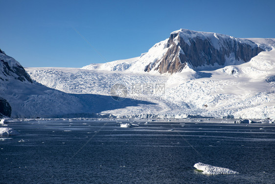 冰雪和覆盖的山脉之间冰川舌头流向南极海地点取消水图片