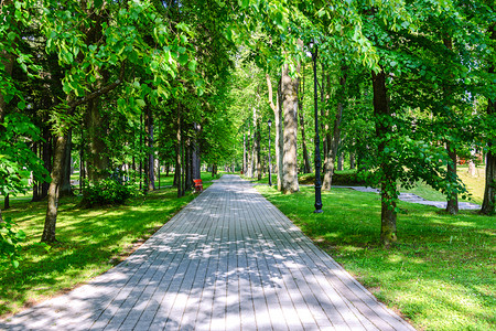 在阳光明媚的夏日美丽城市公园绿树之间的石路健康景观安静的背景图片