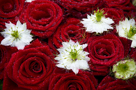 情感派对婚礼花束红玫瑰结婚图片