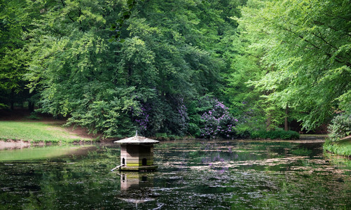 旅行景观水池荷兰绿色森林中带小瀑布的池塘绿色森林中带小瀑布的池塘图片