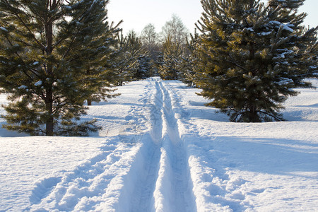 冬季雪景风光图片