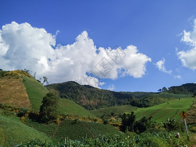 云农村美丽的山丘和蓝天空草地图片