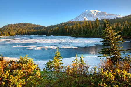 宁静人们公吨美国华盛顿州兰尼埃山公园冷冻反射湖和雷尼尔山美国华盛顿州图片