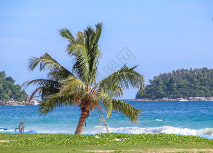 梦宁静海边滩上的热带棕榈树用放松蓝水和海滩旅游图片