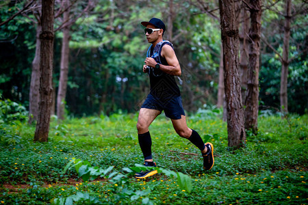 极端合身腿骑着运动鞋在森林中跑步的运动员脚上穿着鞋图片