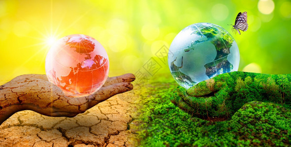 保护地球日或世界环境全球暖化和污染的环境非常不同两者手与只Ob双树可持续图片