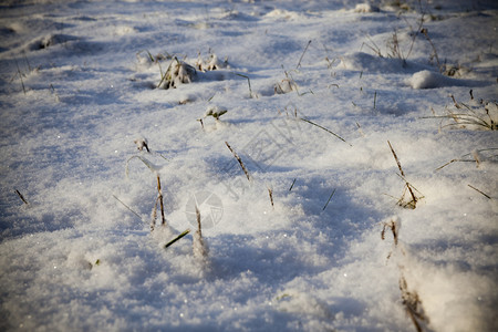 在最后一场雪落之的下照片是在降后的冬季拍摄最后天气白色图片