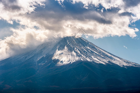 日本川口子湖富士山枫十一月叶子图片