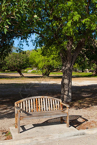 自然椅子在公园的座上在沿途的树下松弛图片