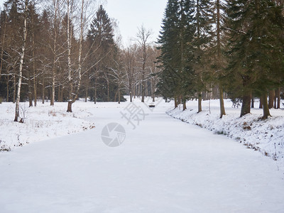 冰冻的河流沿岸有树木蓝色的自然十二月图片