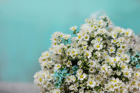 花园粉彩用纸包着有青色背景的白菊花束颜色图片